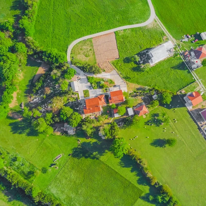 Jak usytuować dom na działce względem stron świata?