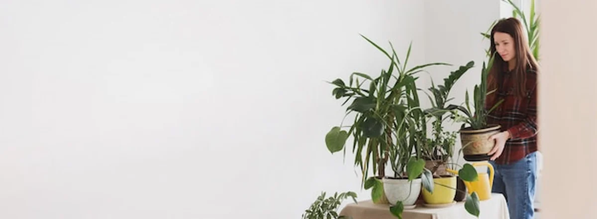 Kobieta przy stole pielęgnuje rośliny doniczkowe w pokoju domowym
