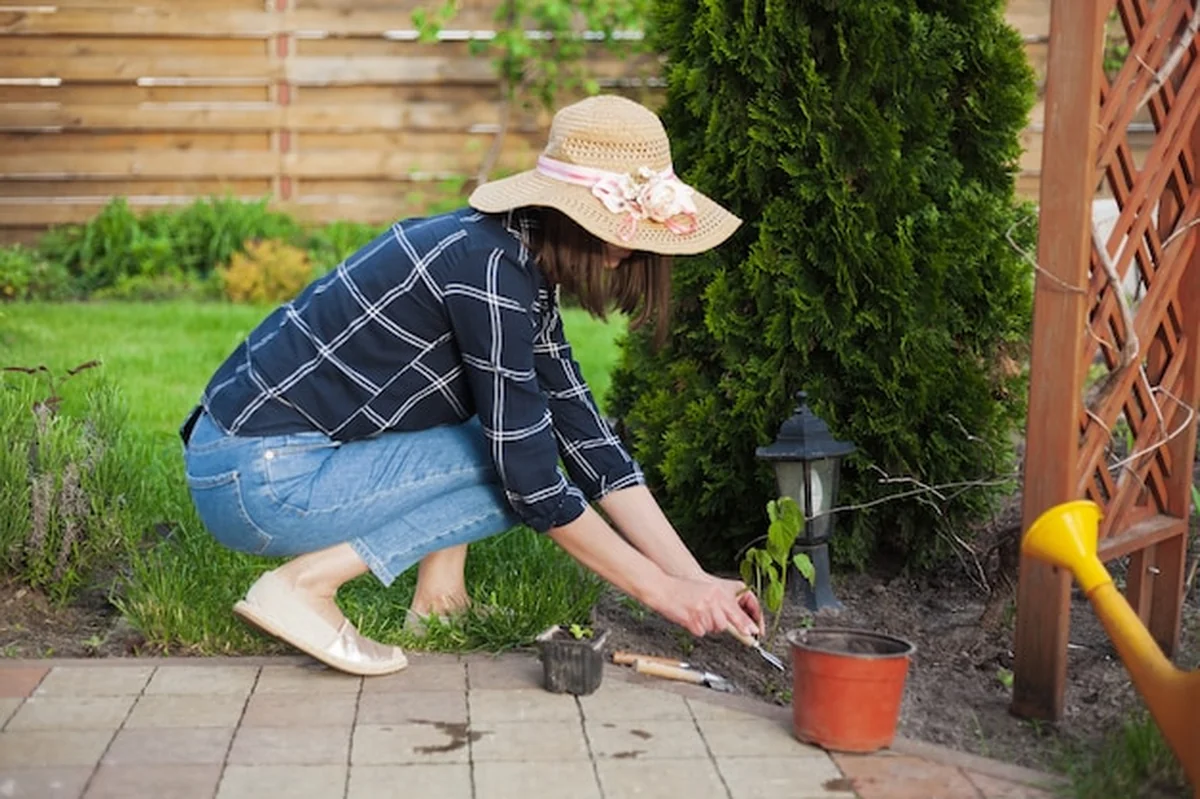 Kobieta ogrodniczka w kapeluszu pracująca w ogrodzie na podwórku