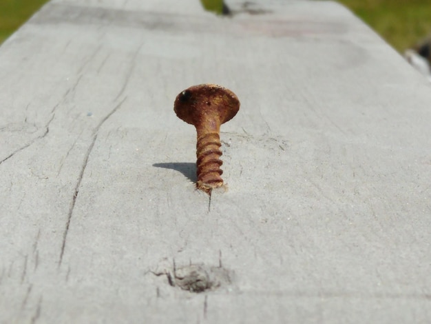 Ile wkrętów na jedną płytę GK? Poradnik montażu płyt gipsowych